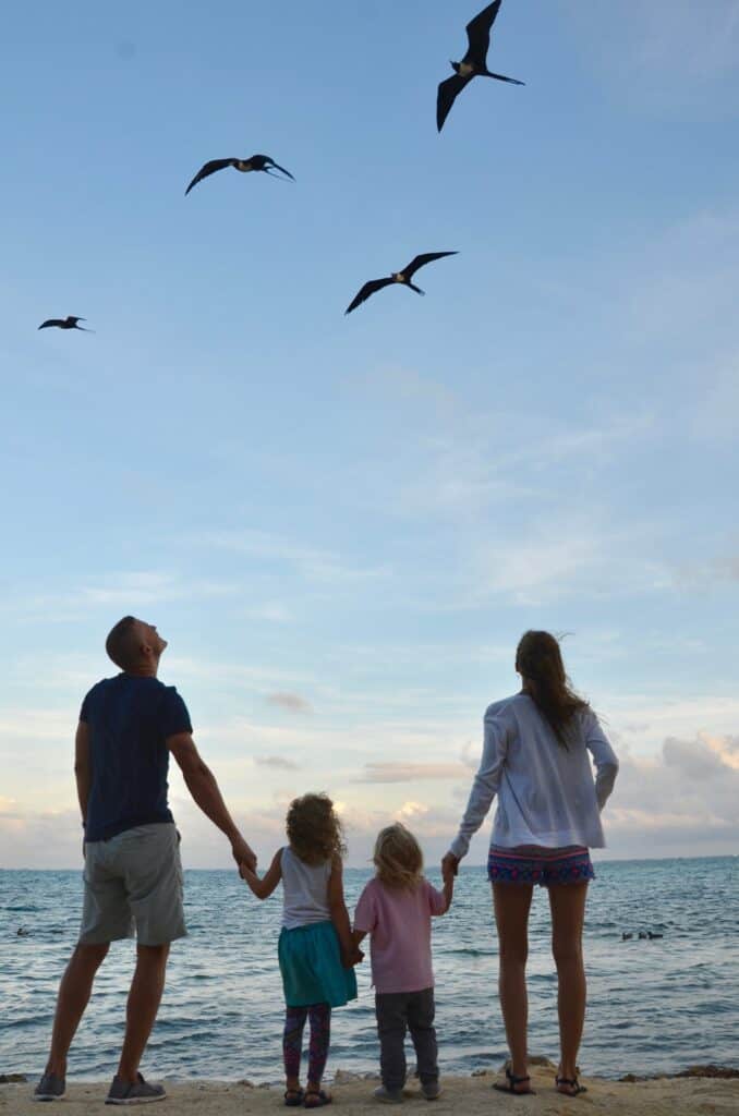 Tukka Restaurant has huge Frigate Birds that you can watch while enjoying your meal in Grand Cayman with kids.