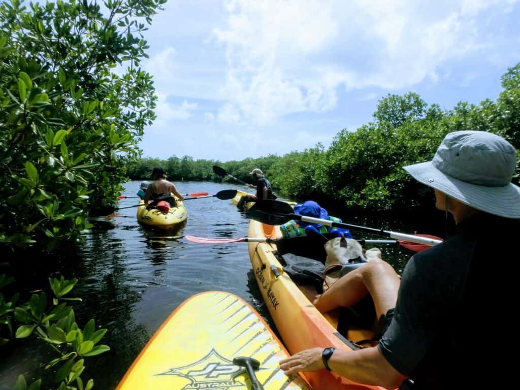 Mangroves and Starfish tour is a perfect thing to do in Grand Cayman with kids.