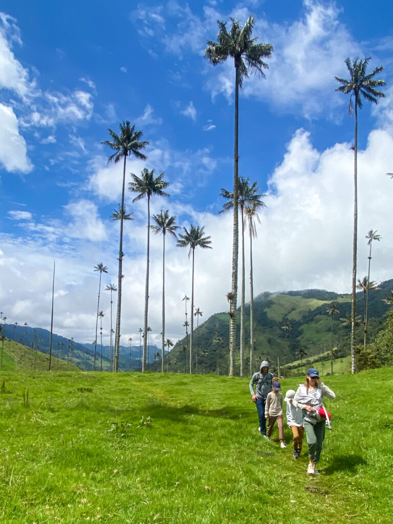 Cocora Valley Colombia weather can change quickly so be prepared.
