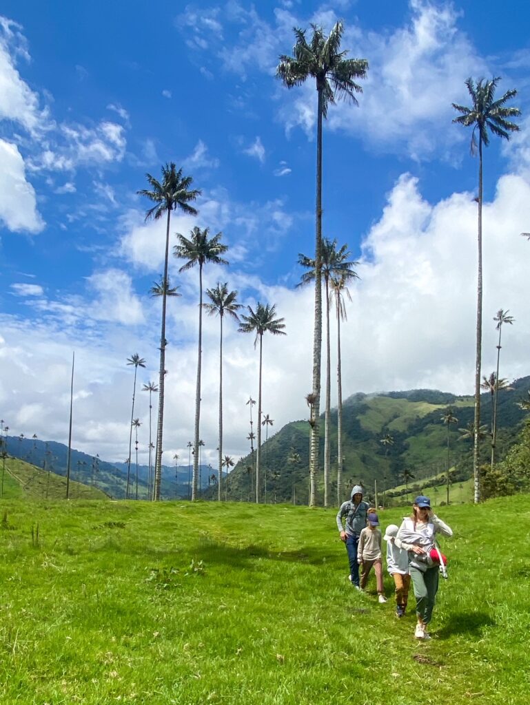 Our family hiking in Cocora Valley with a baby in tow, amongst the tall wax palms.