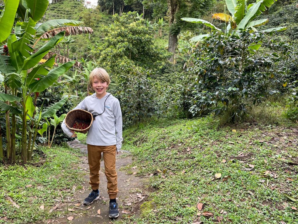 My son, Jagger collecting coffee beans on the finca during our coffee tour in Colombia.