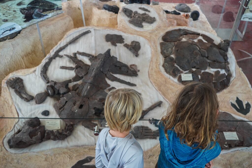 Part of our worldschool curriculum is visiting local museums like this dinosaur museum in Colombia.