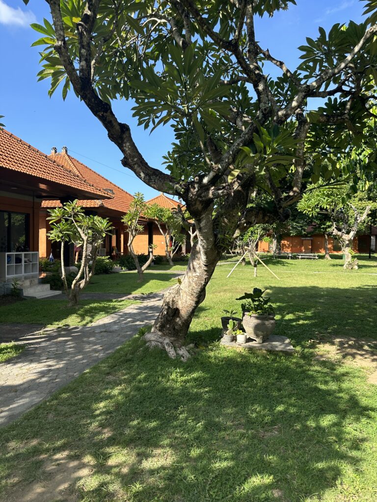 Boundless Life School in Bali has lots of green space for the kids to play.